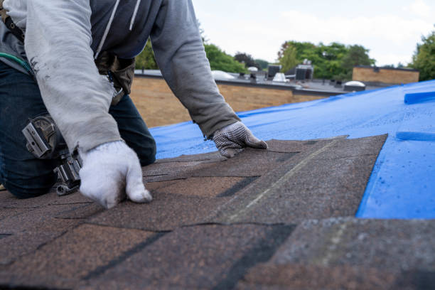 Best Roof Leak Repair  in Macom, IL